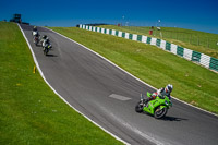 Middle Group Green Bikes